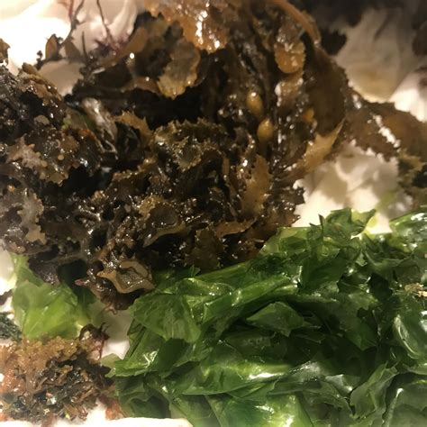 Oahu's magic seaweed: a natural wonder